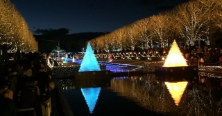 昭和記念公園のイルミネーション